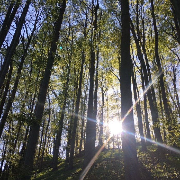Mobirise